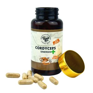 Cordyceps sinensis plus