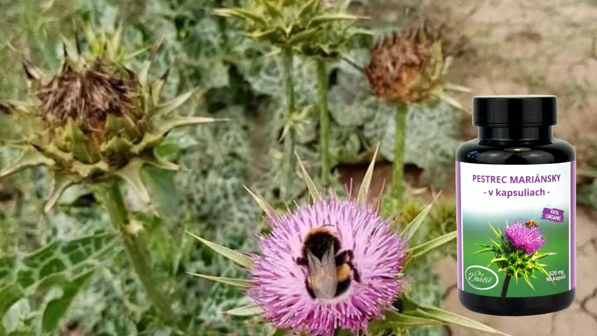 pestrec v kapsuliach