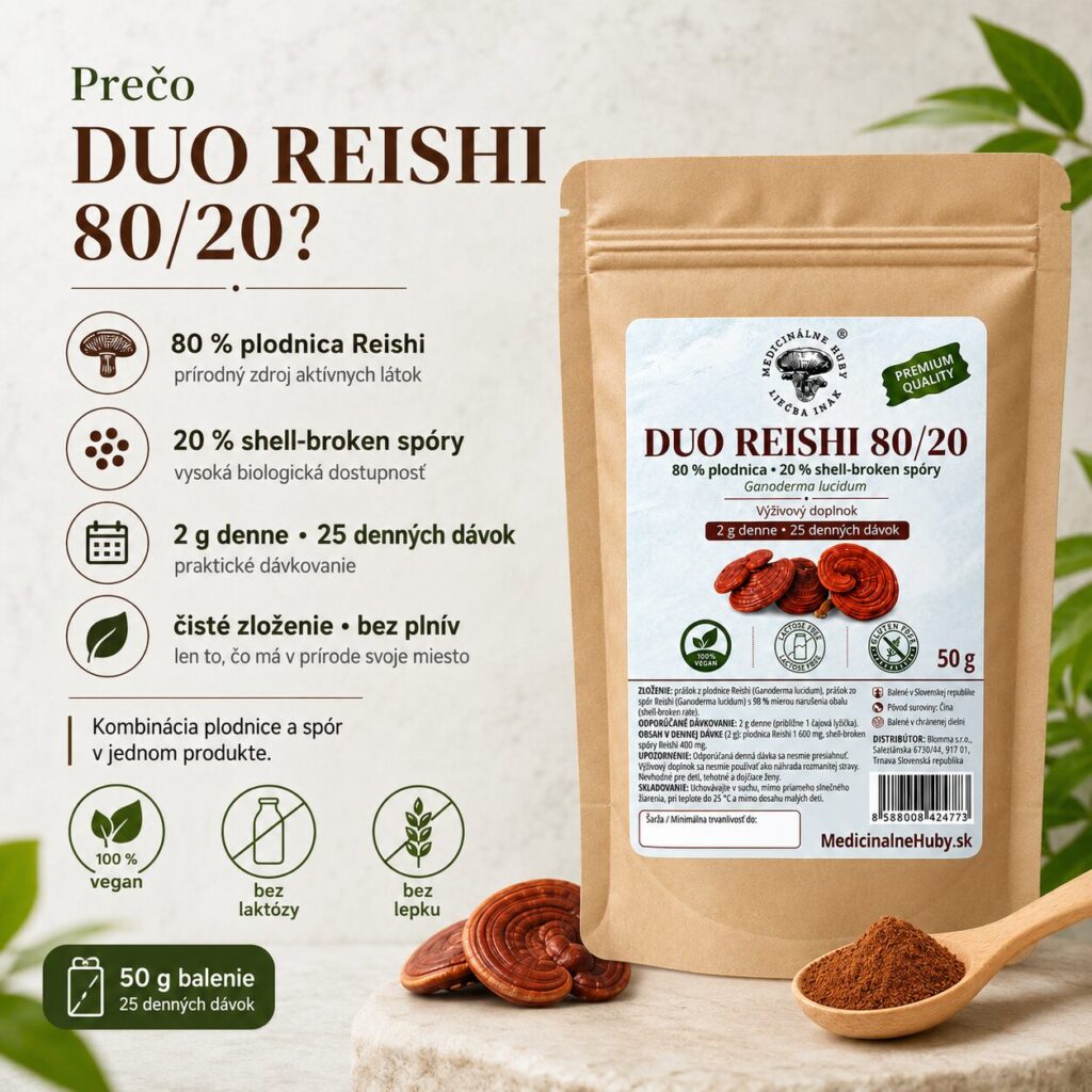 DUO REISHI – 80 % plodnica a 20 % shell-broken spóry